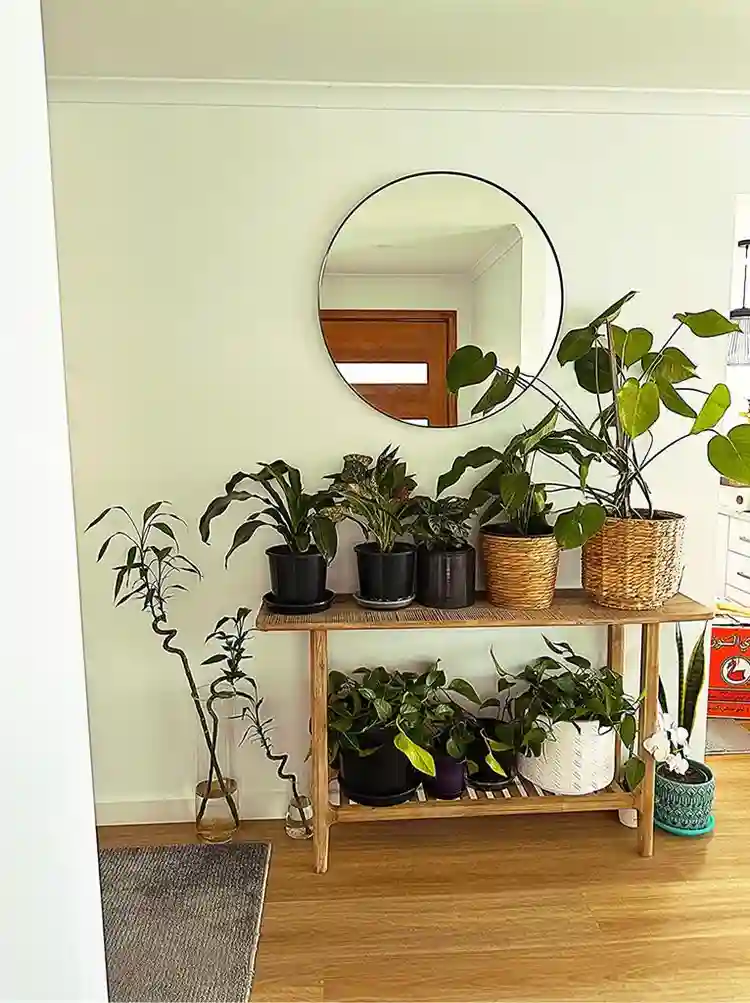 Room for rent in mill park