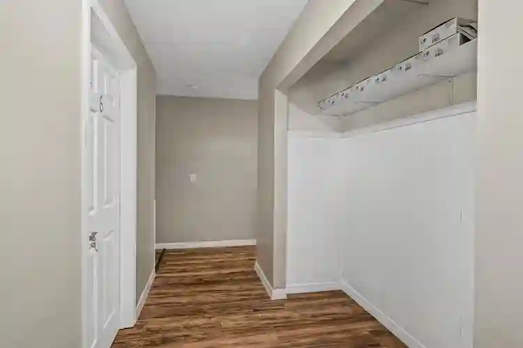 7 BR in Tampa