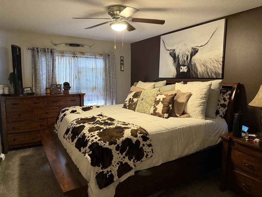 Looking for a roomate