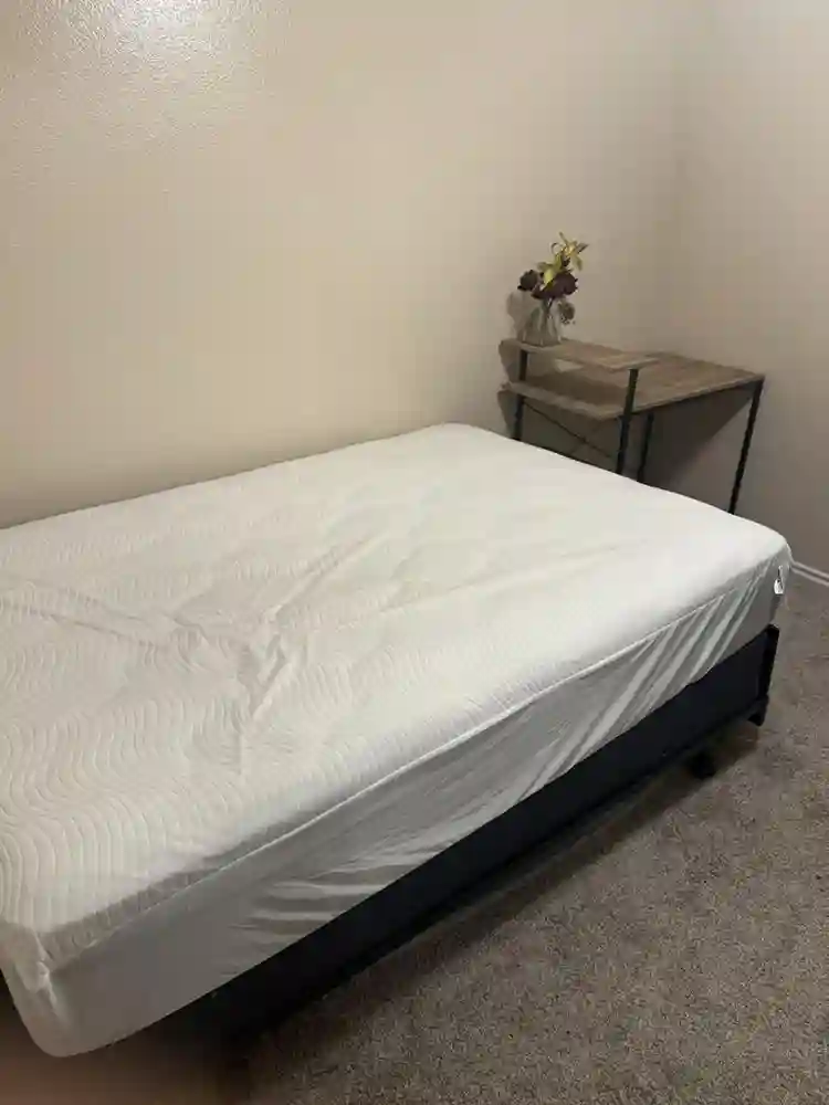 Roommate in Windcrest area