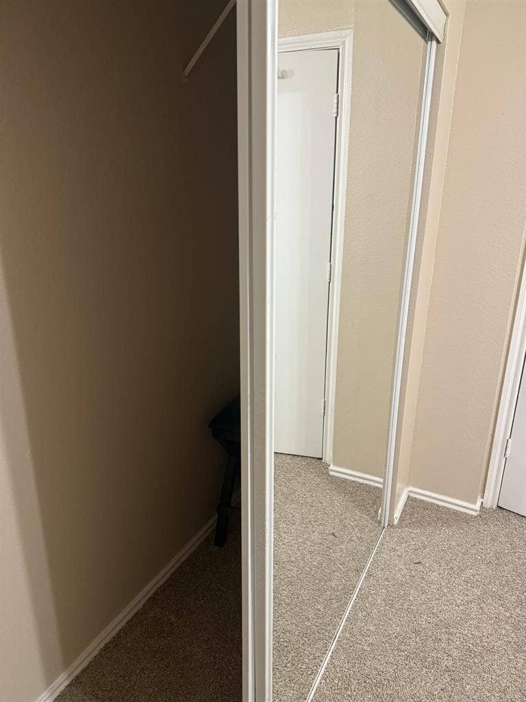 Roommate in Windcrest area