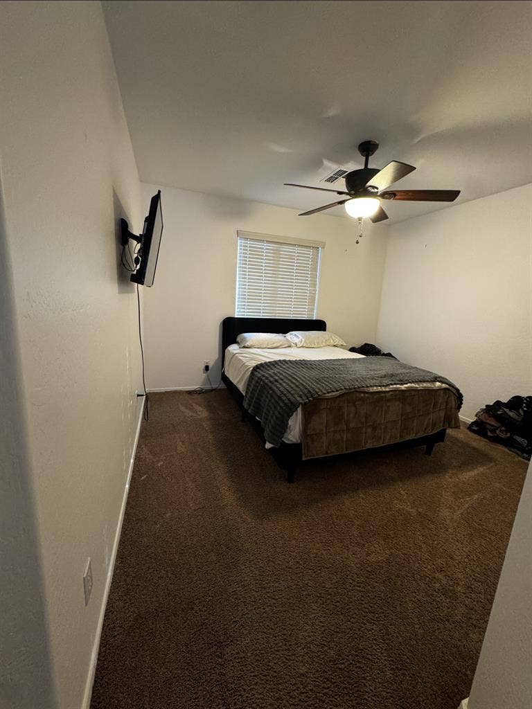 Looking for a female roommate!