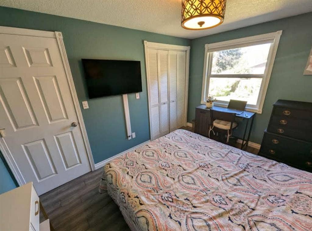 Room in clean, safe, liberal house