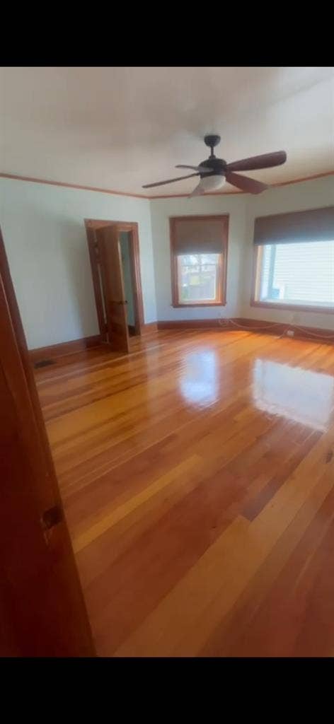 Suite Modern, Bright & Elegant