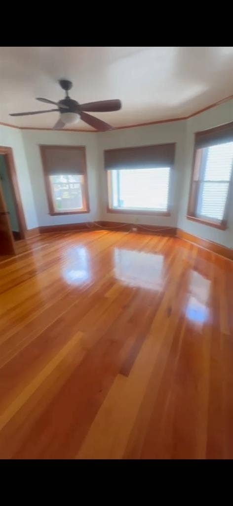 Suite Modern, Bright & Elegant