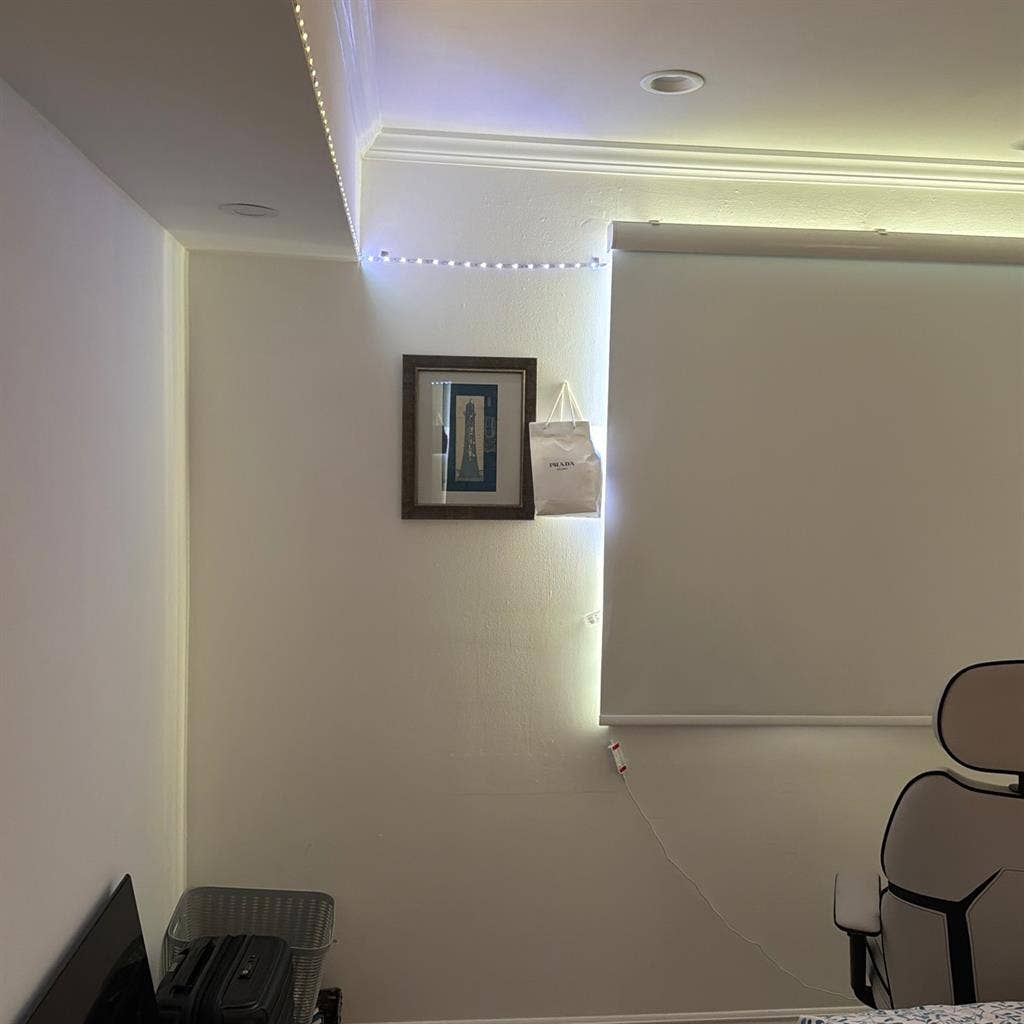 NSU/Broward Student Room for Rent!