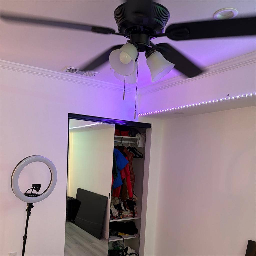 NSU/Broward Student Room for Rent!