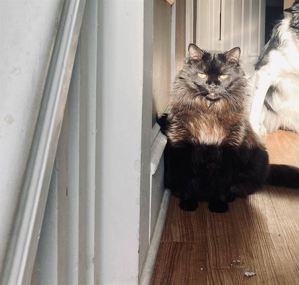 Sublease in NE Minneapolis!