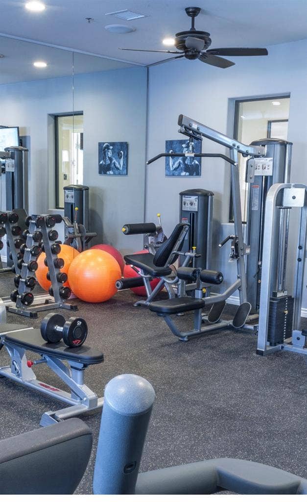 Furnished Apartment with Cats