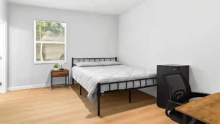 7 BR in Jacksonville