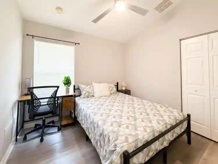 7 BR in Tampa