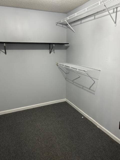 Huge BR W/Master BTH Walk In Closet