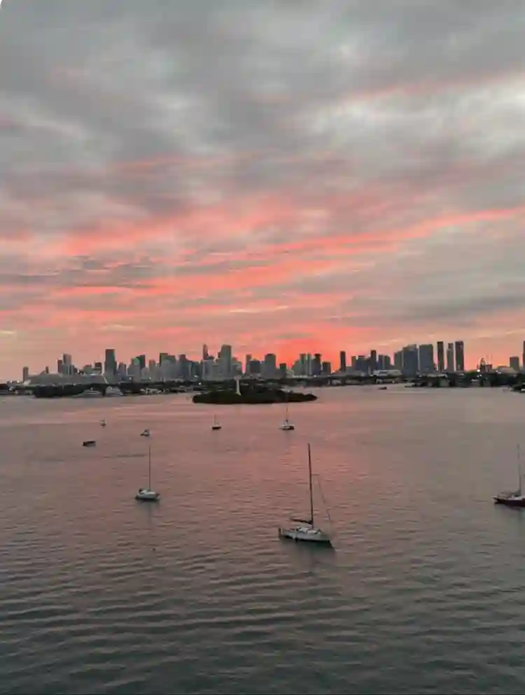 THE FLAMINGO SOUTH BEACH