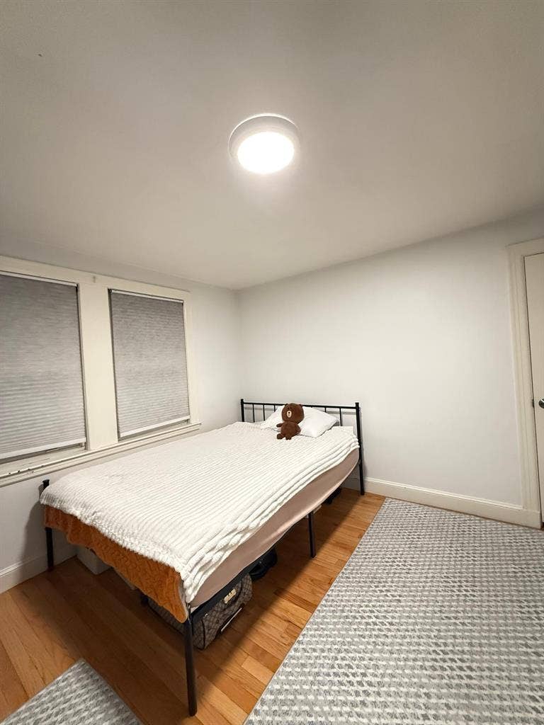 Looking for girl roommate