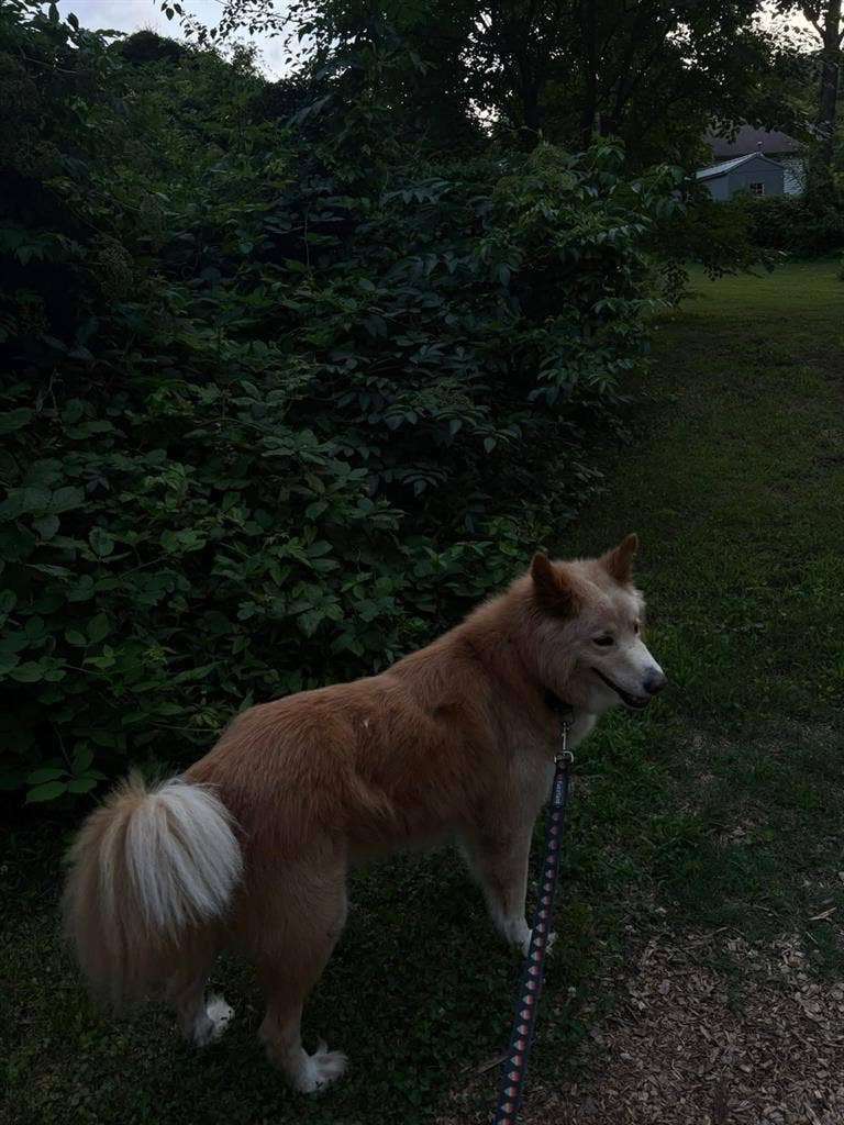 Private Room for Rent (Jan 1st)