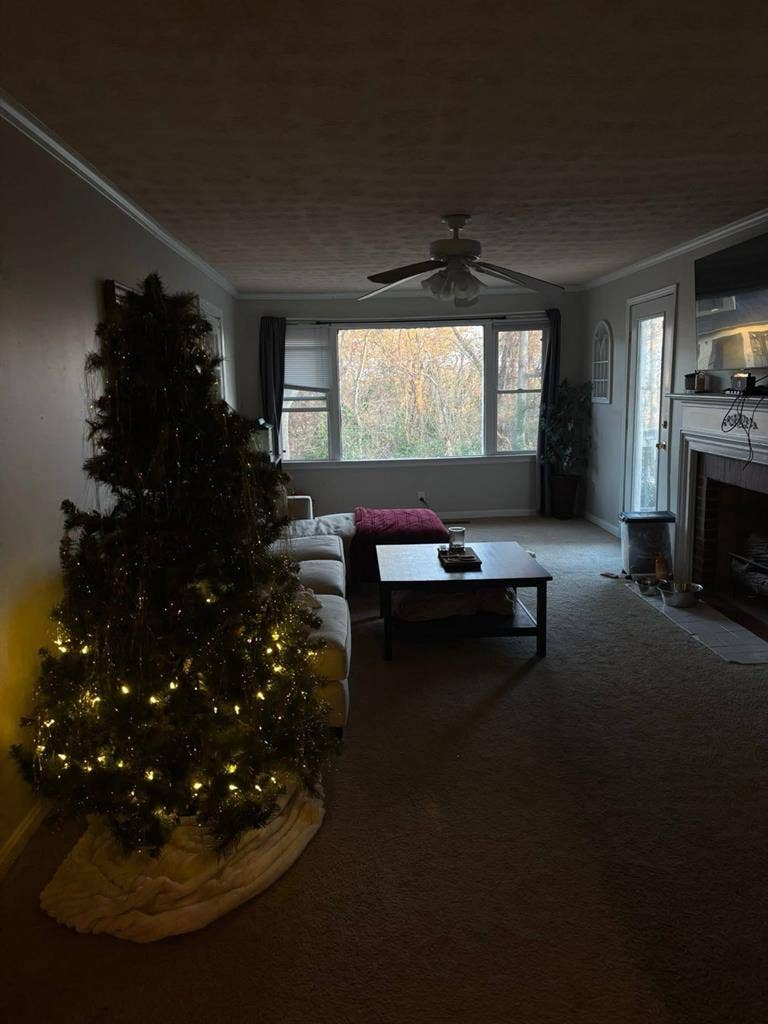 Private Room for Rent (Jan 1st)