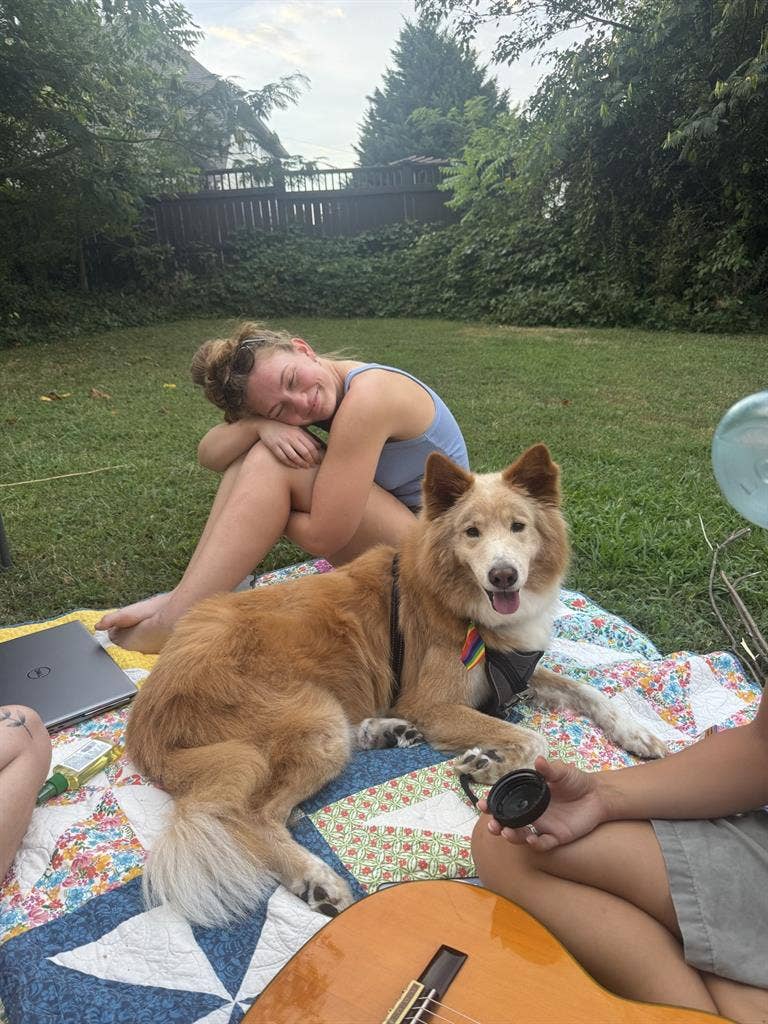 Private Room for Rent (Jan 1st)