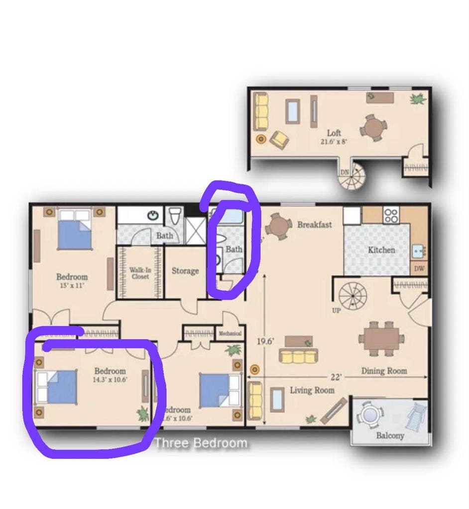 Looking For A Room Mate