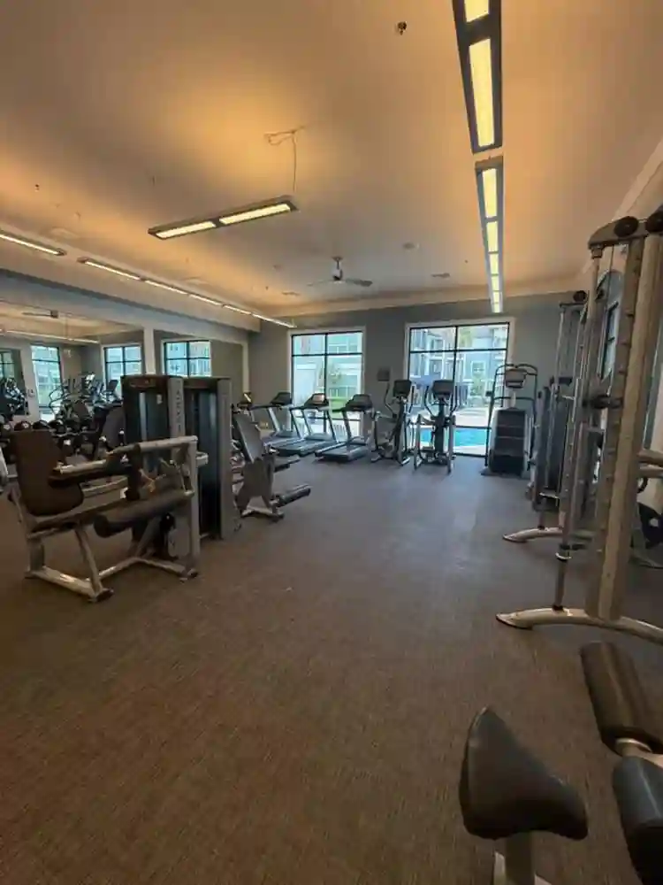 I rent a suite in Milenia.