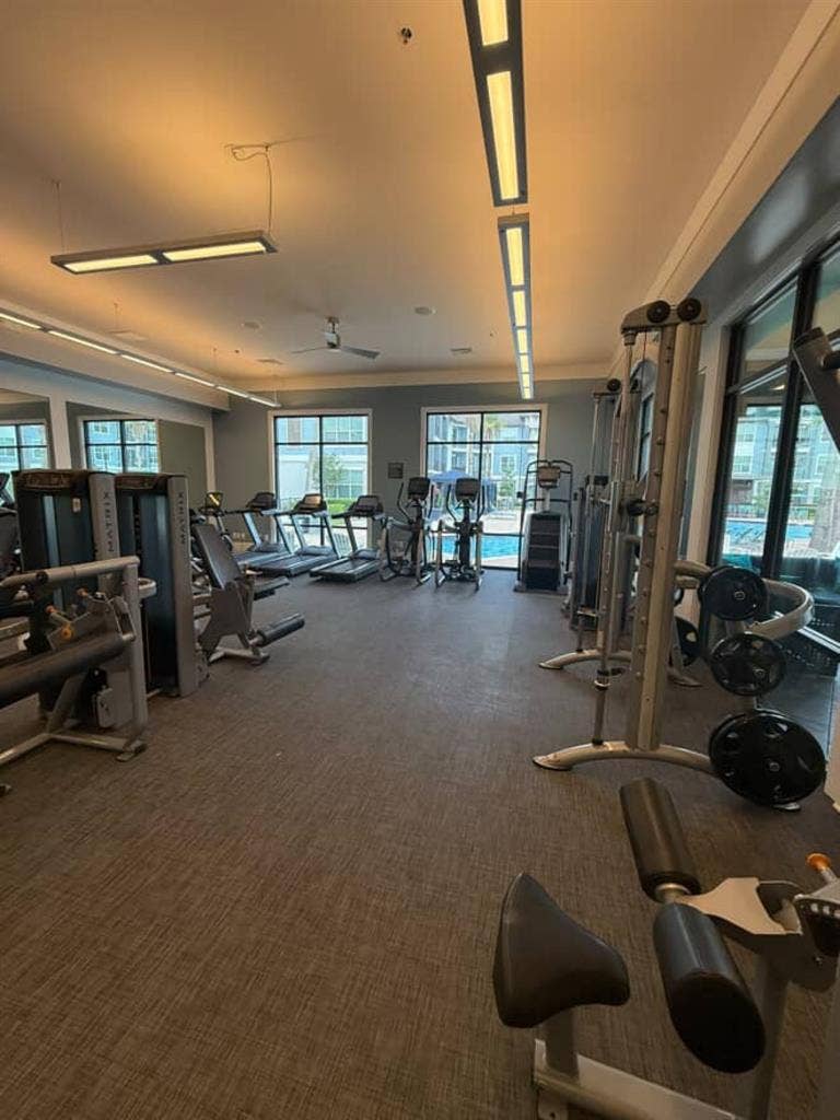 I rent a suite in Milenia.