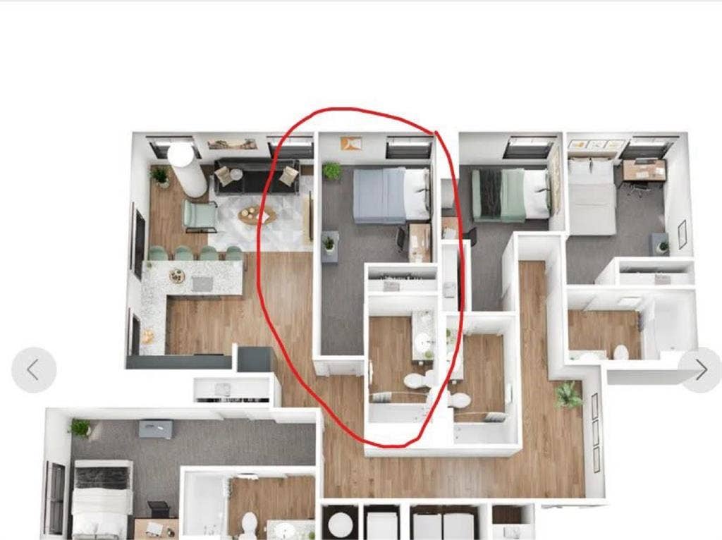 BR Need a roommate (Dec-July)