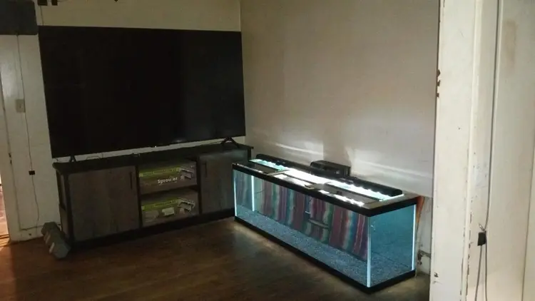 Rooms for rent