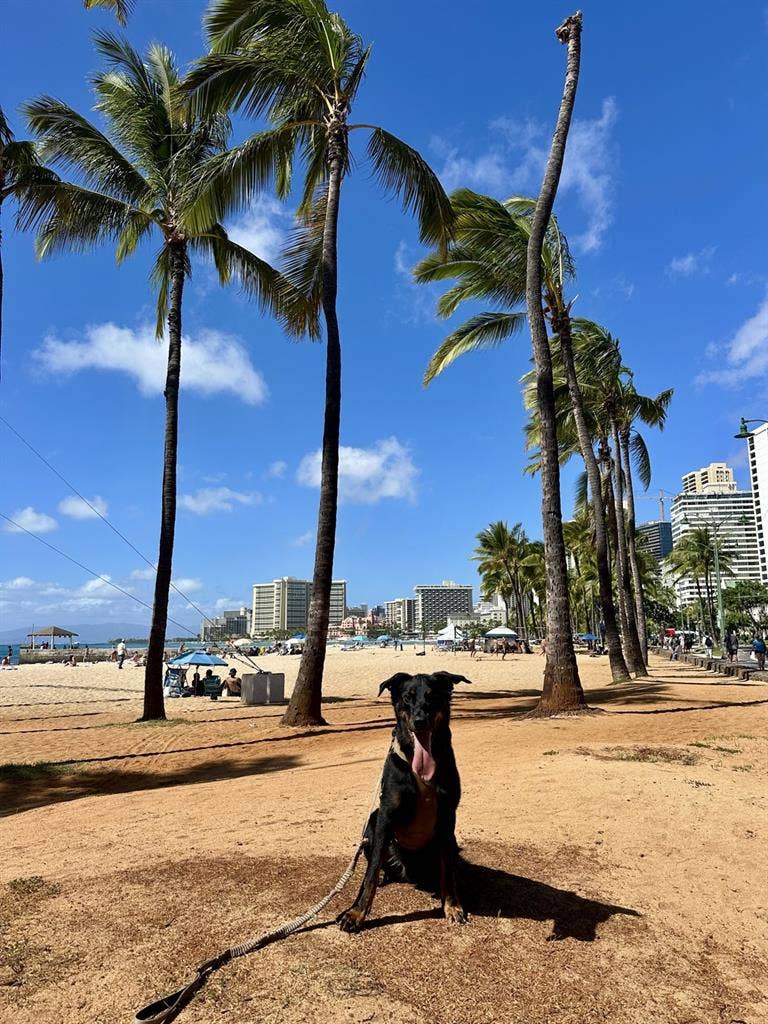 Looking for Military Roommate