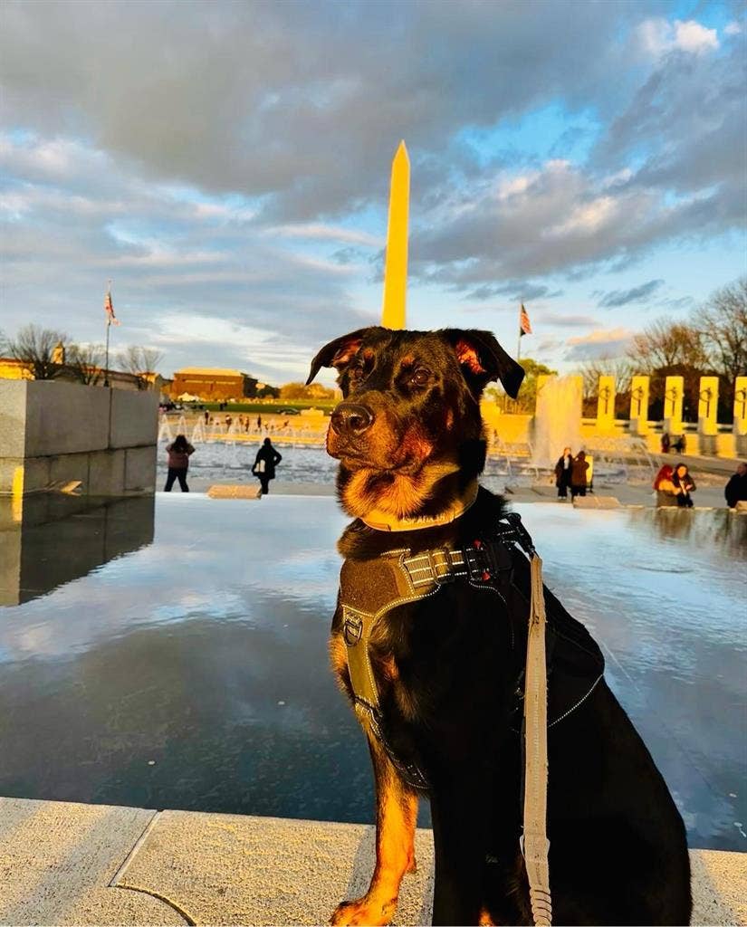 Looking for Military Roommate