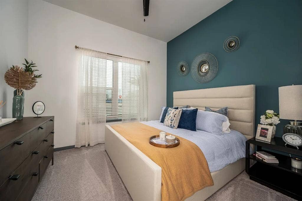 Luxury Apartment