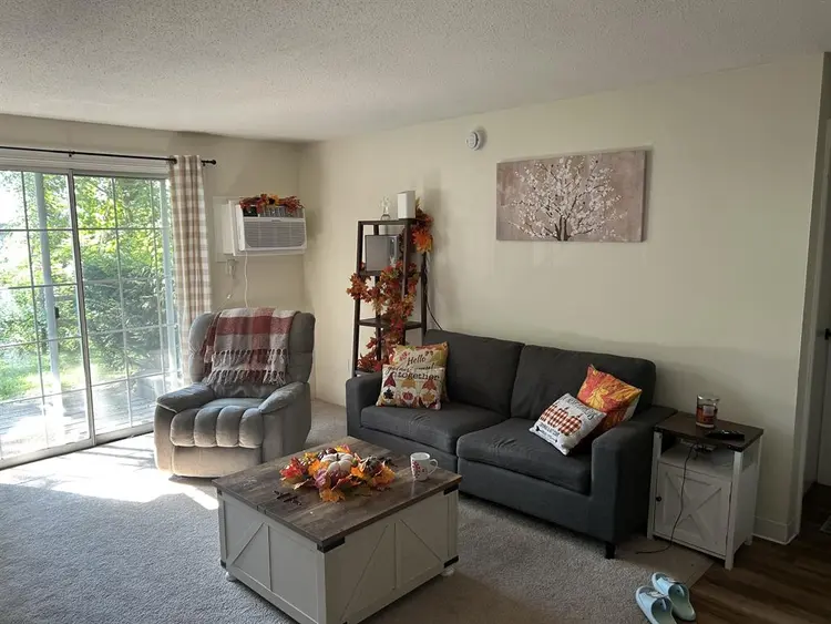 Looking for a Roomate!