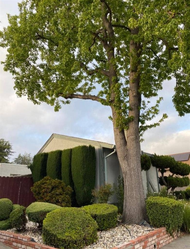 Master Bedroom Available Fremont