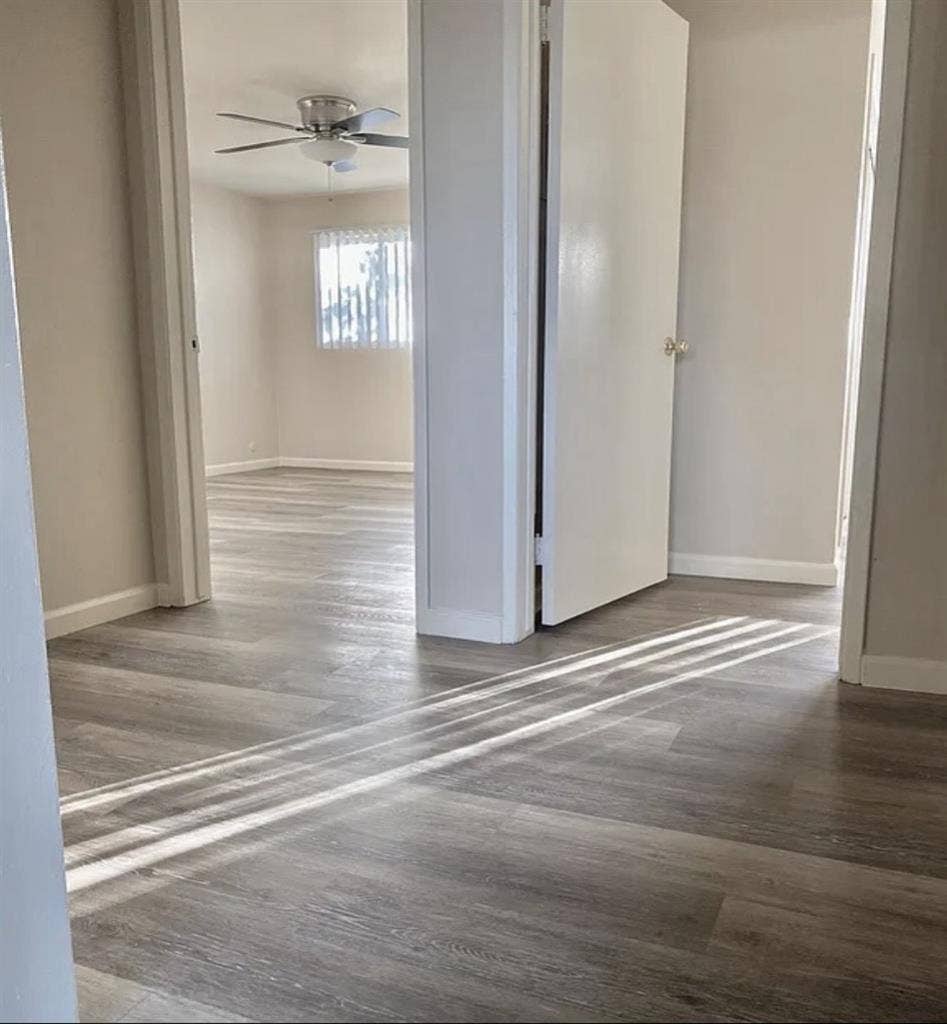 Wanted: missing roommate