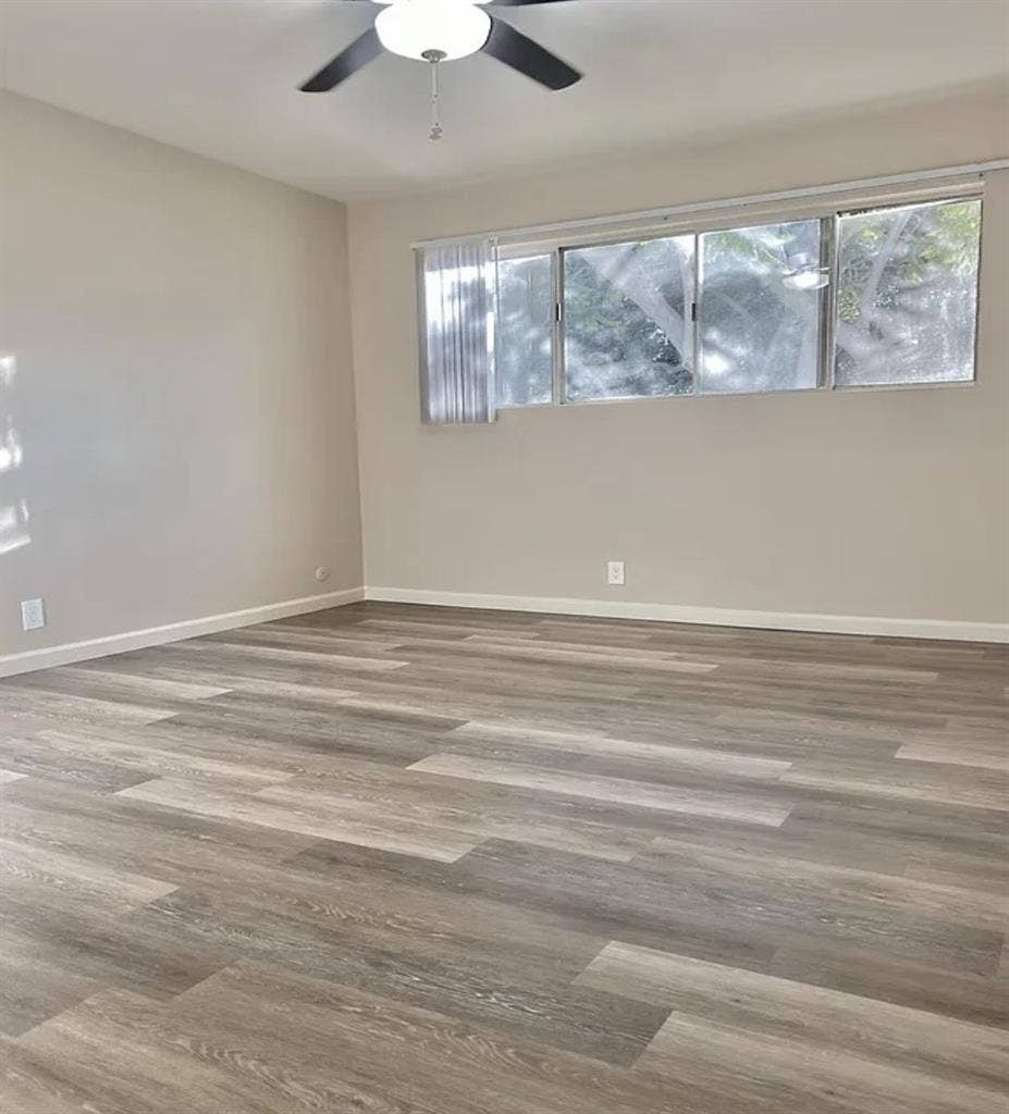 Wanted: missing roommate