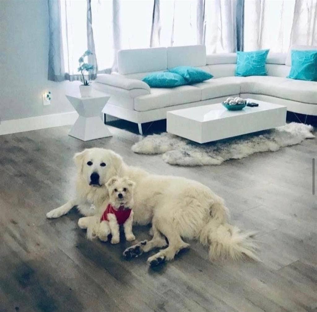 Dog-friendly master bed/bath