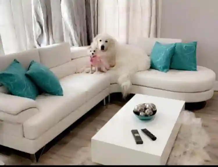 Dog-friendly master bed/bath