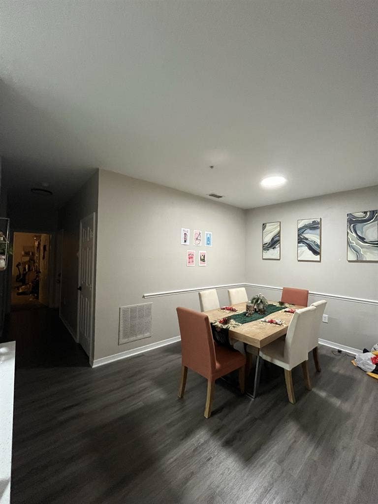 ISO 2 Roommates for Chatham Square