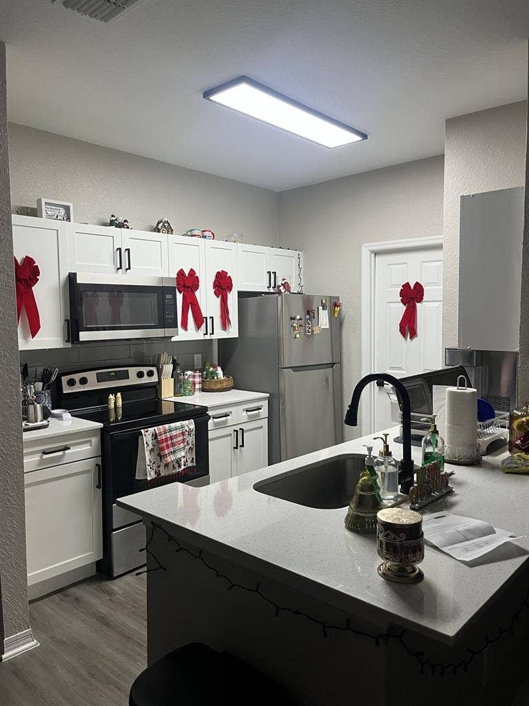 ISO 2 Roommates for Chatham Square