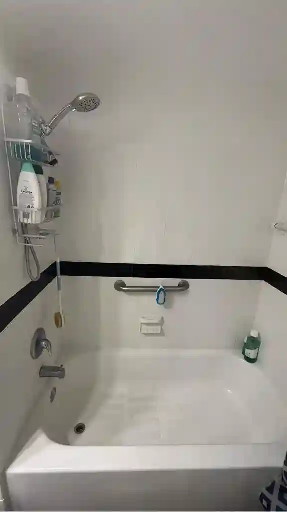 Live on Iconic Bayshore Blvd.