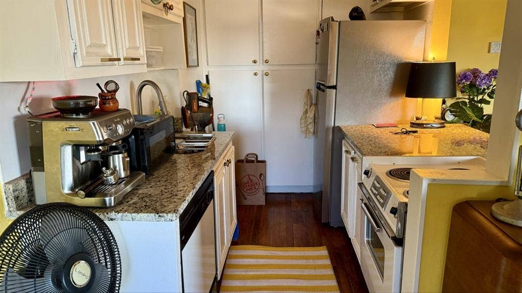 Live on Iconic Bayshore Blvd.