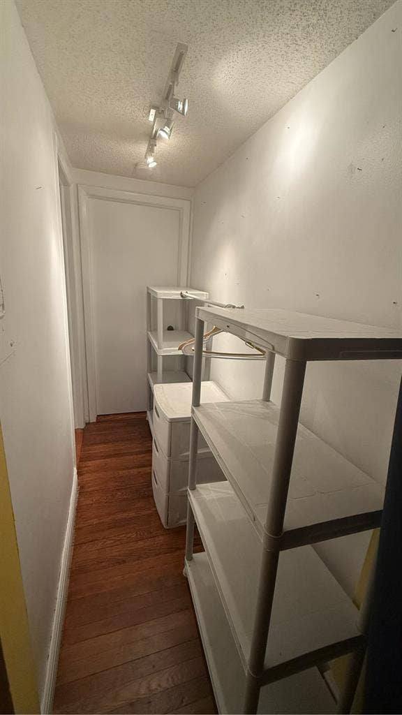 Live on Iconic Bayshore Blvd.