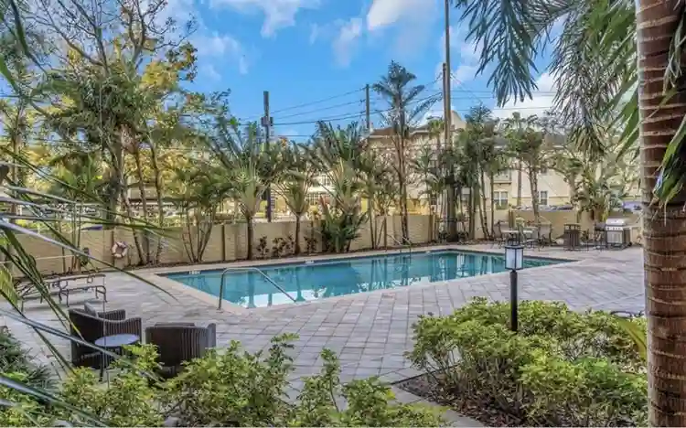 Live on Iconic Bayshore Blvd.