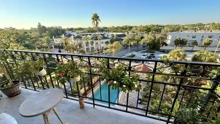 Live on Iconic Bayshore Blvd.