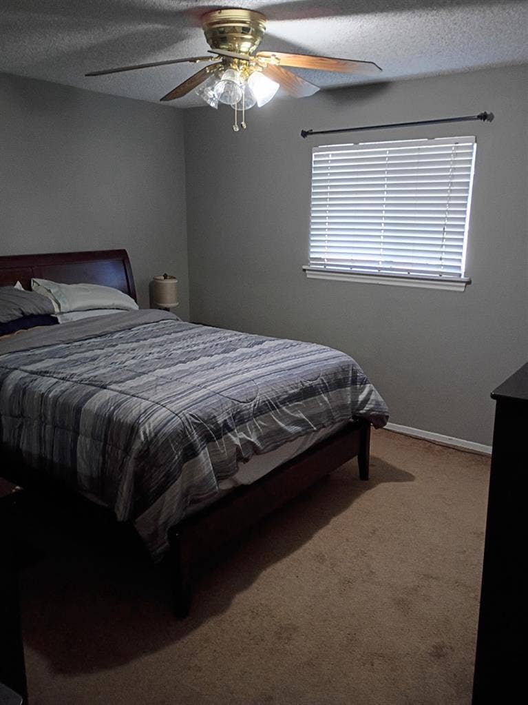 Female roommate wanted