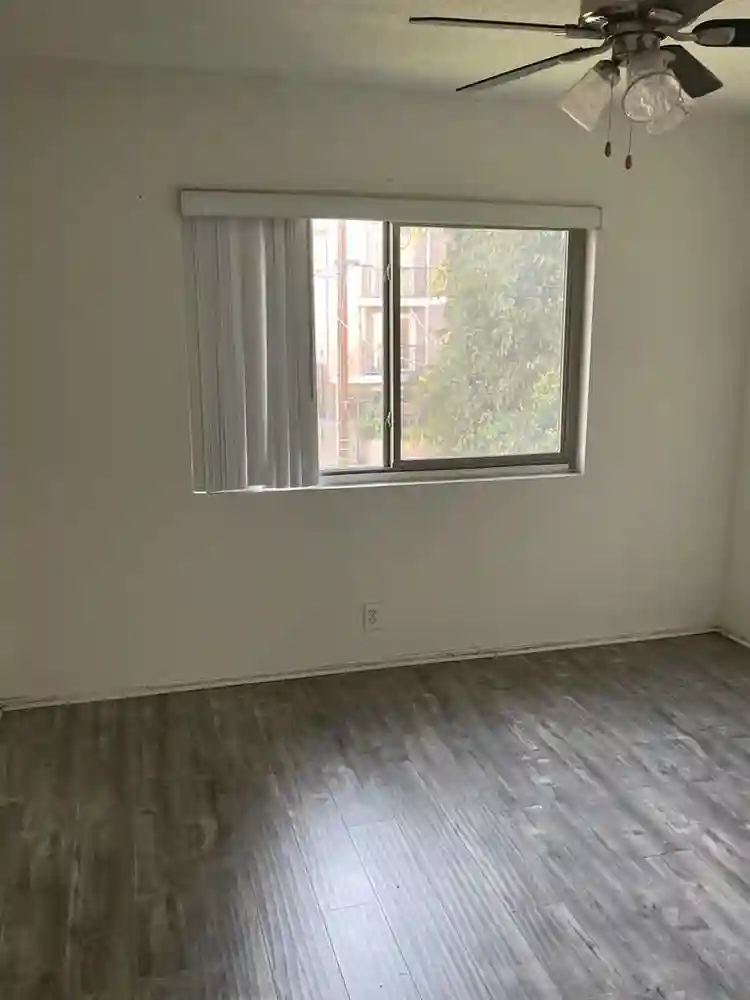 Looking for a roommate ASAP!