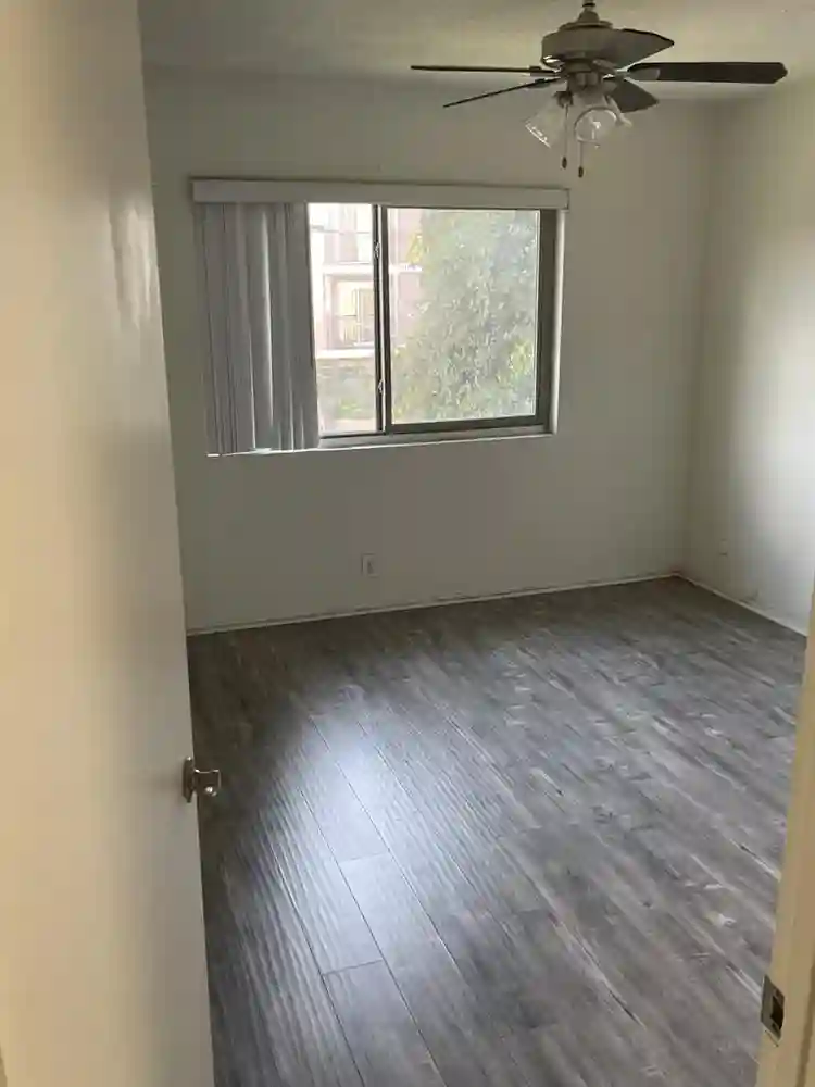 Looking for a roommate ASAP!