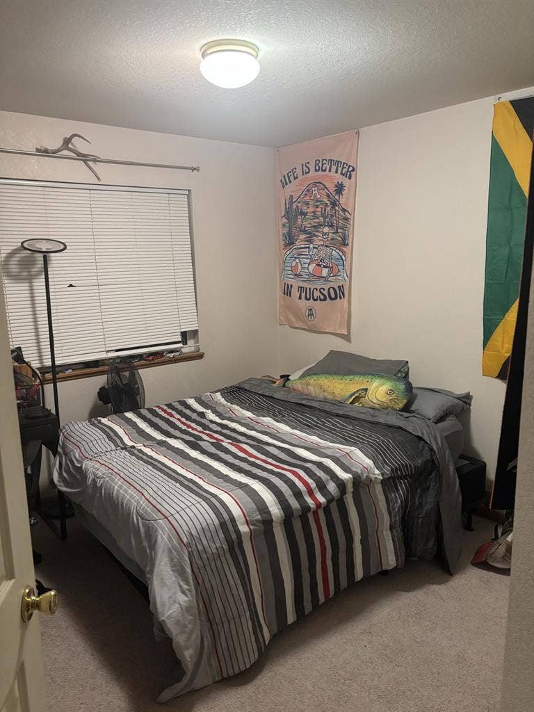Room for rent by CSU