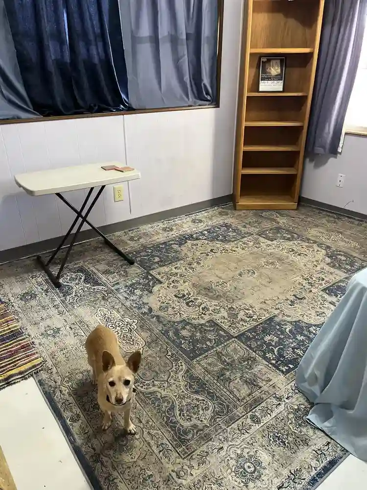 1 bedroom and private bathroom