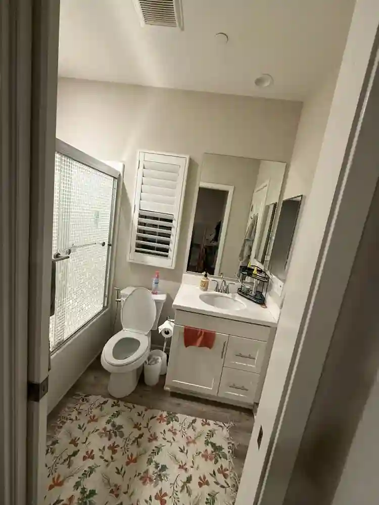 Female housemate needed