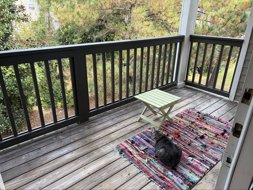 Looking to fill my room!