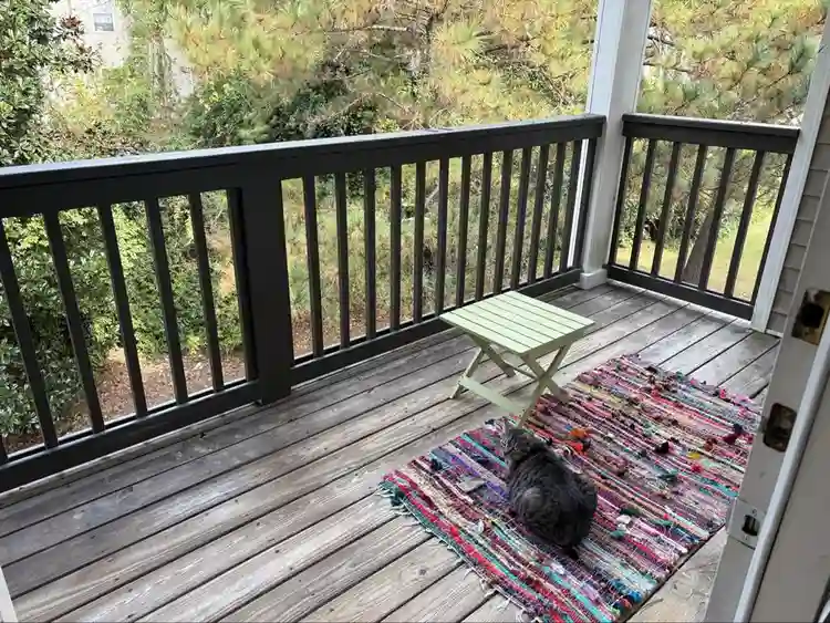 Looking to fill my room!